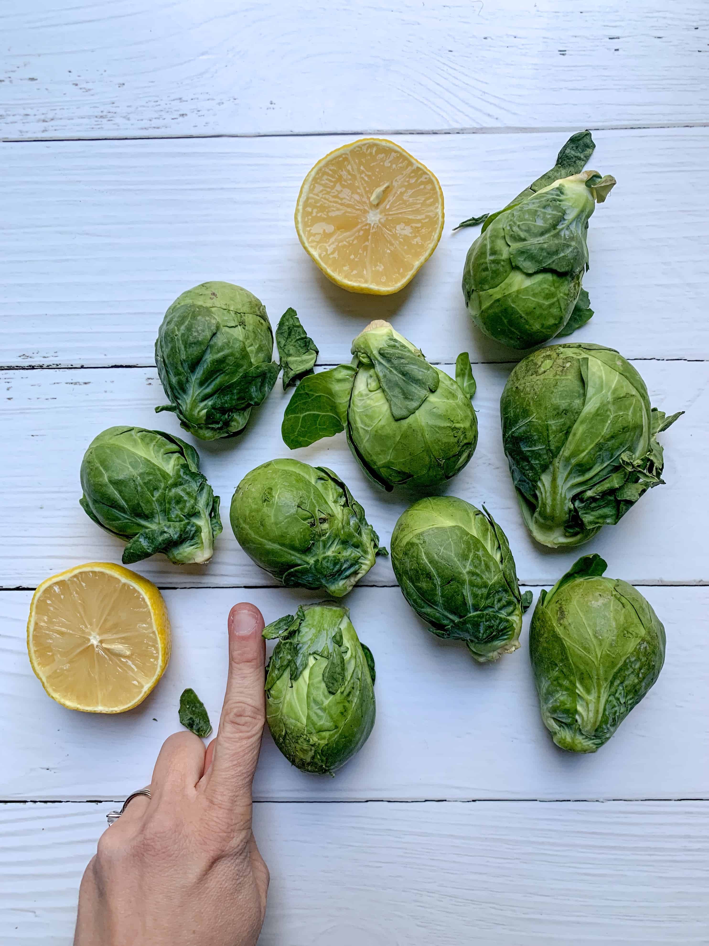 huge brussels sprouts on white back drop shown with a finger to see the scale of how large they are. 