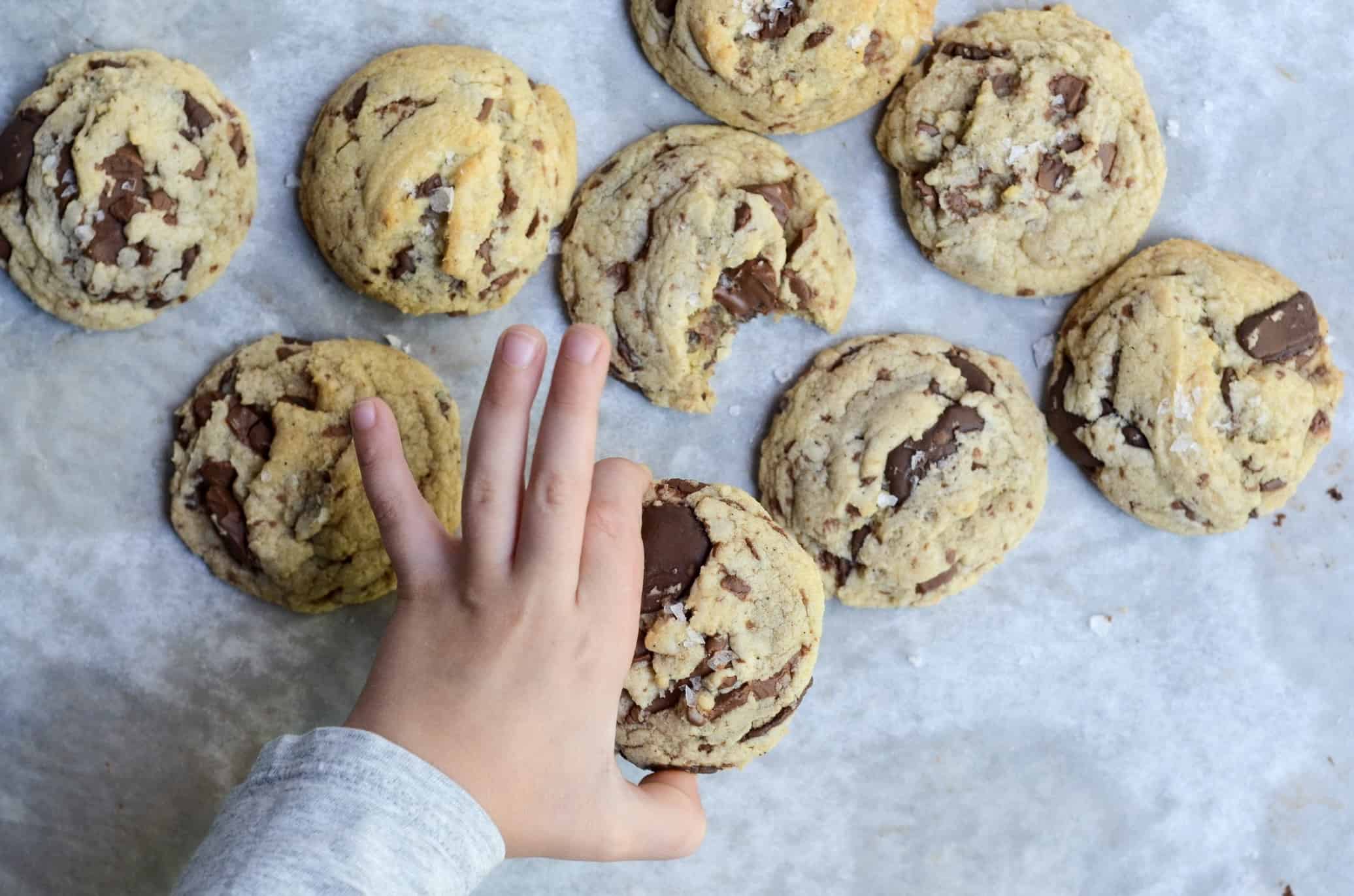 bread flour is the secret ingredient