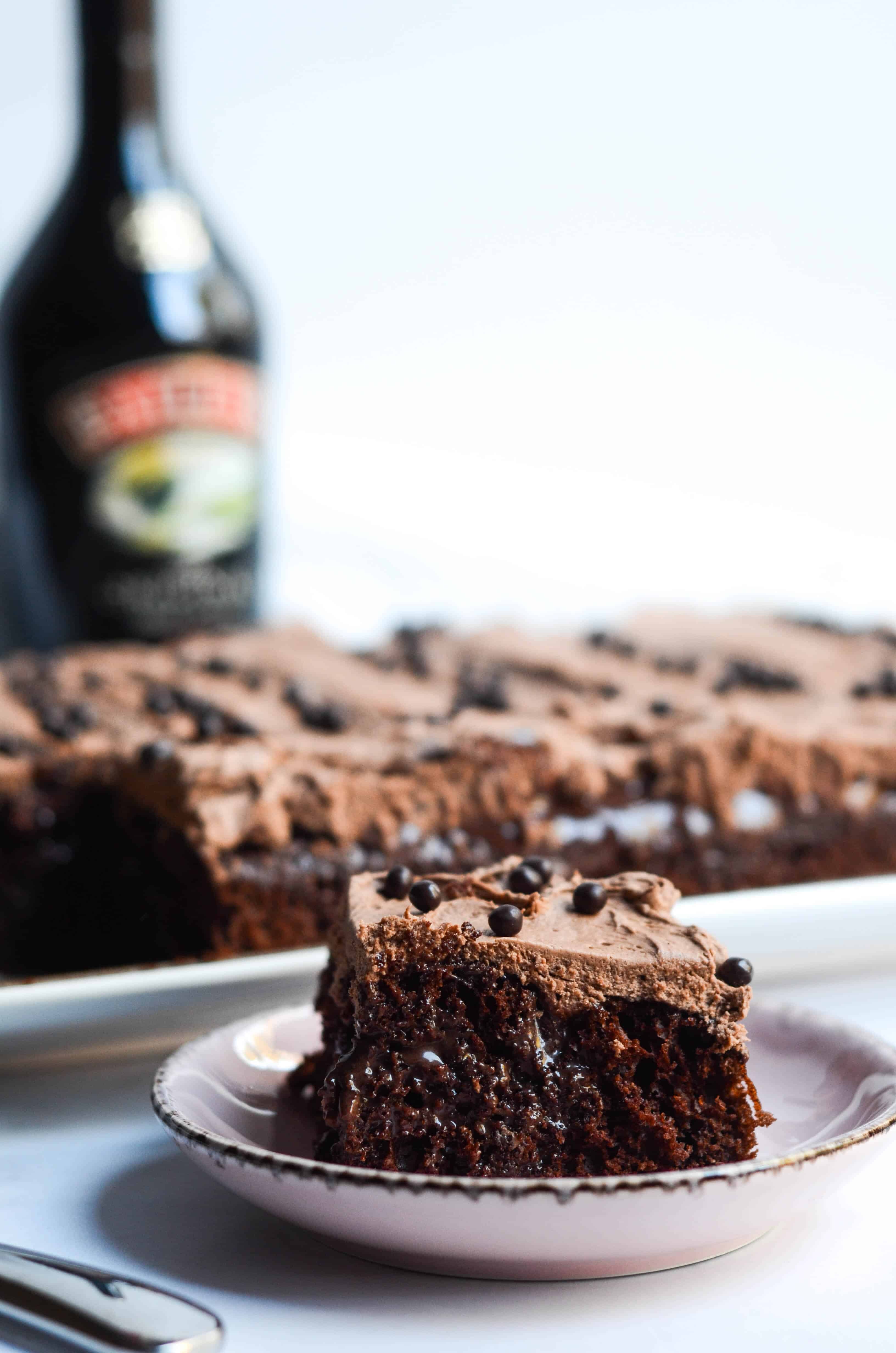 Espresso Cake with Baileys Frosting - This Celebrated Life