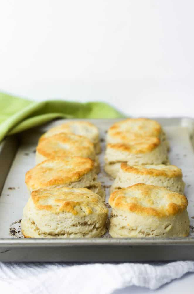 front view of 8 southern buttermilk biscuits on baking tray 