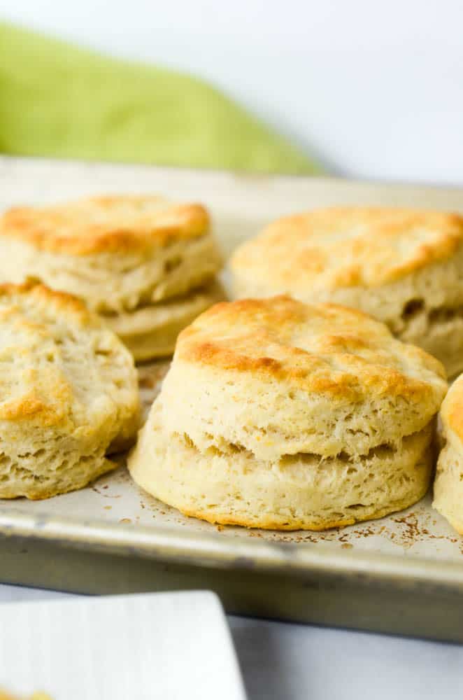 focus on one southern buttermilk biscuit close up on baking sheet 