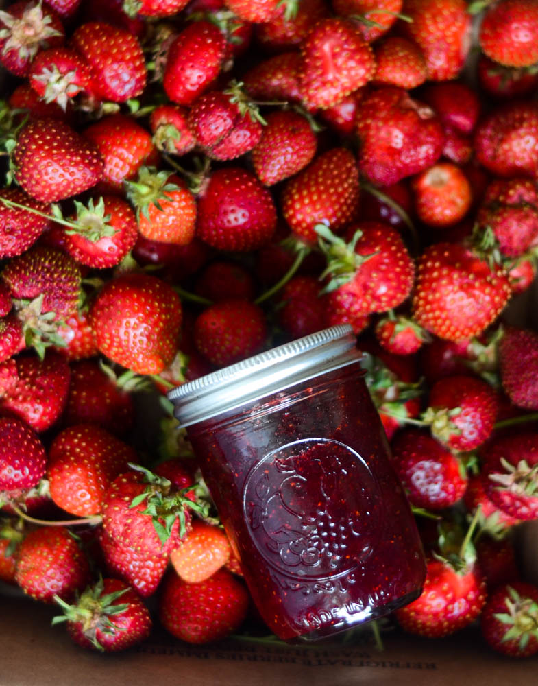 small batch strawberry jam in a jar in a bed of fresh strawberries