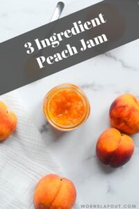 Homemade Peach Jam Without Pectin | Worn Slap Out