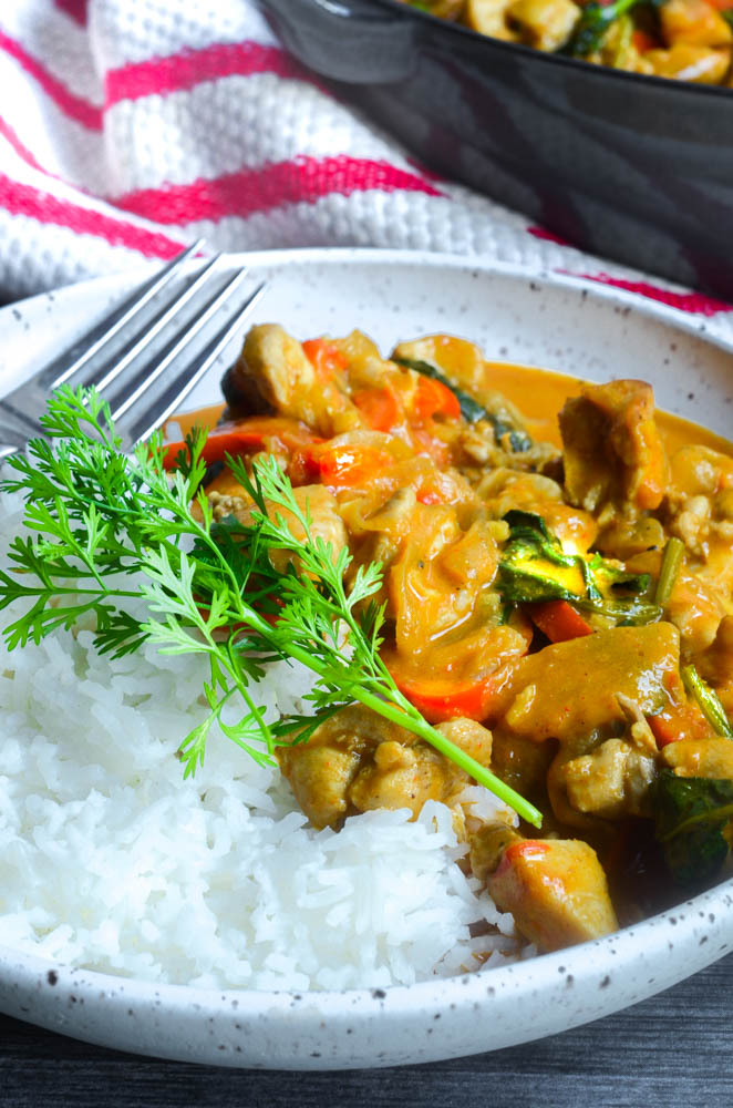 close up picture of white plate with curry on one side and rice on the other with sprig of cilantro