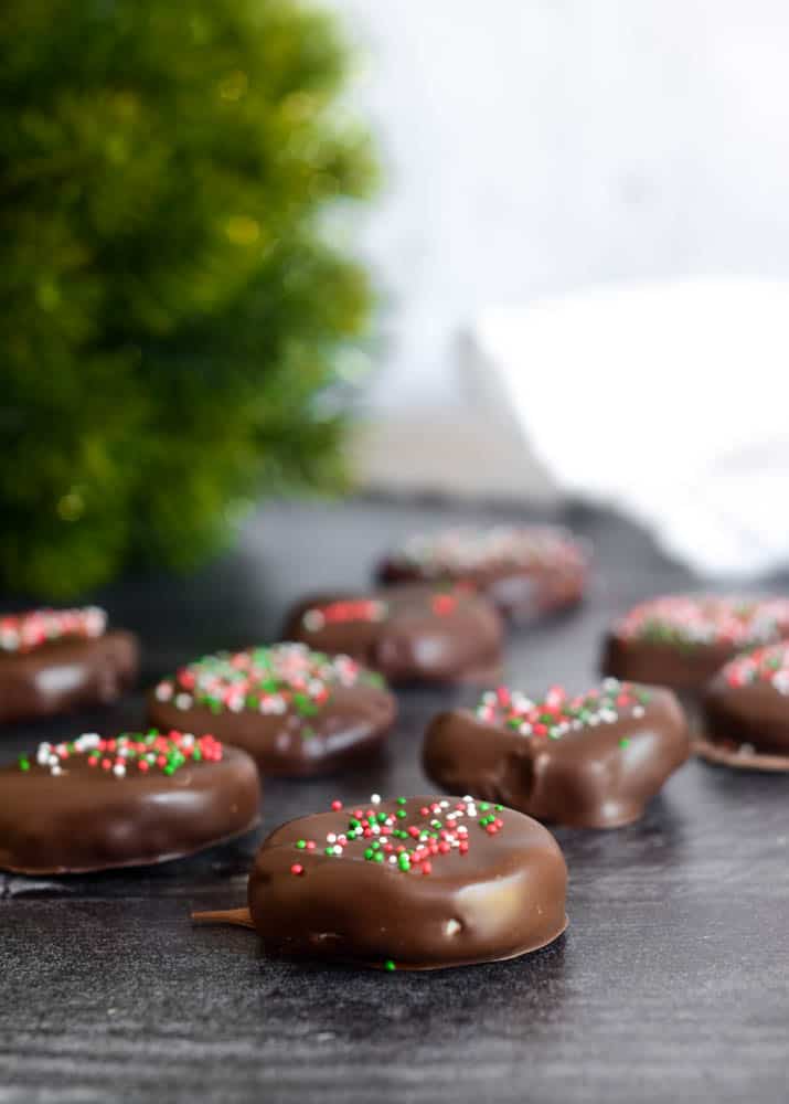 side view of four rows of peppermint patties on black backdrop with tree in background.