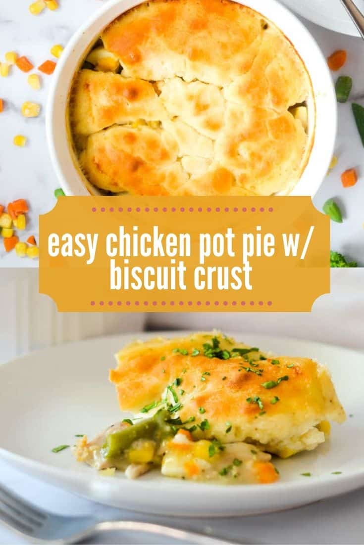 Easy Chicken Pot Pie with Bisquick | Worn Slap Out