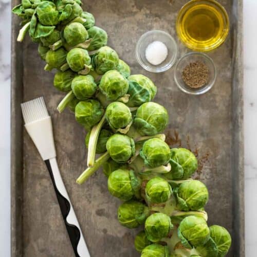 Brussels sprouts on the stalk on a metal baking tray.