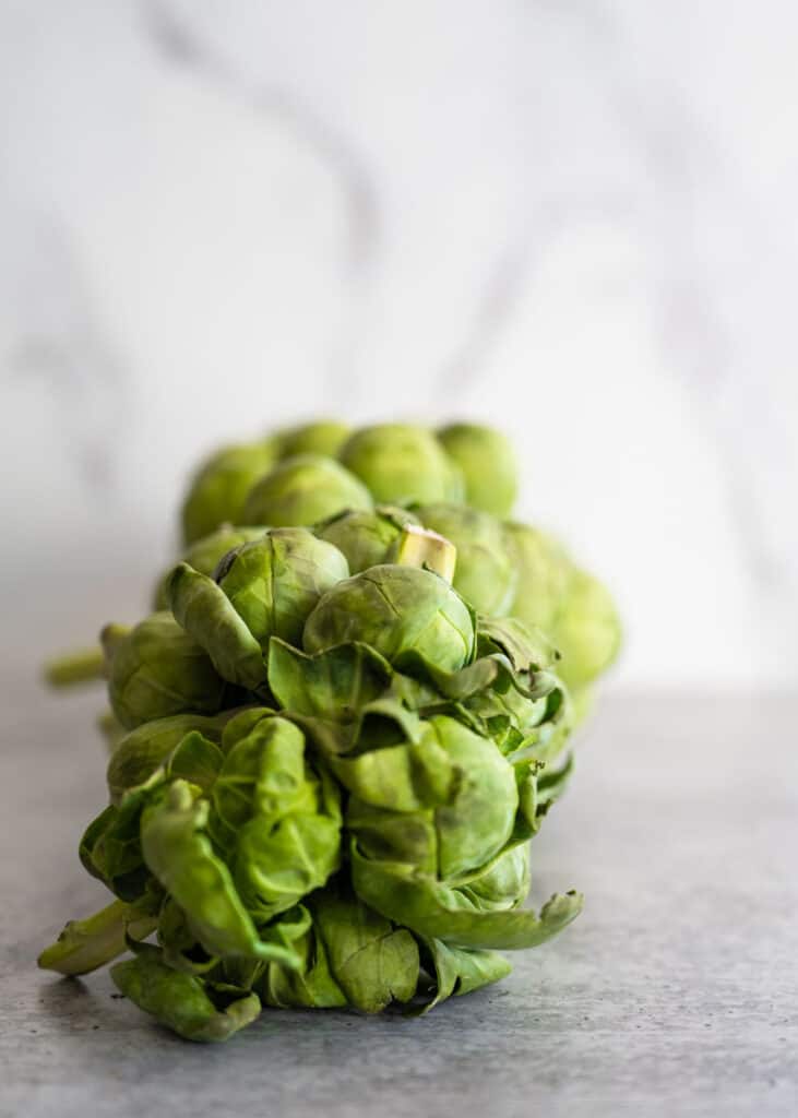 close up of the end of a brussels sprouts stalk that's raw. 