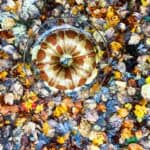 cinnamon apple bundt cake on glass platter above fallen leaves.
