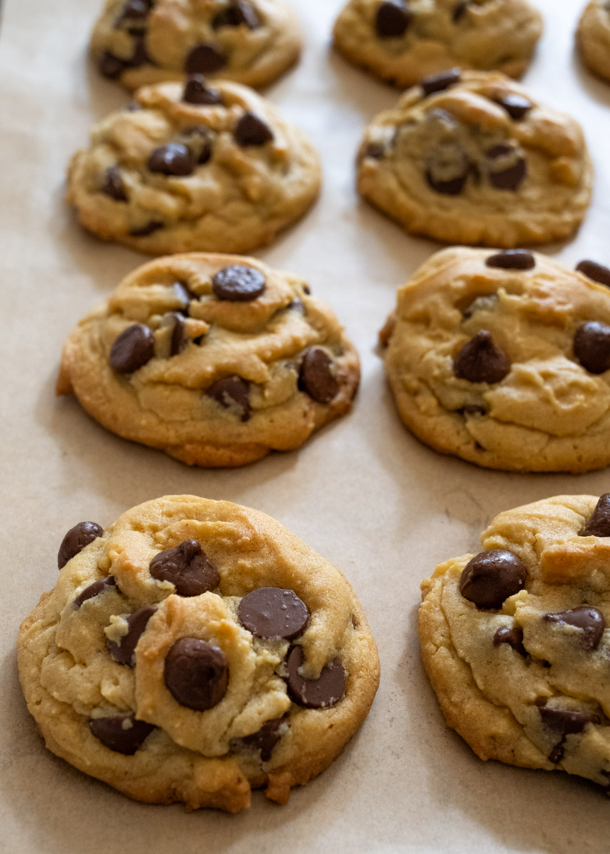 Two rows of chocolate chip cookies shot from the front. 