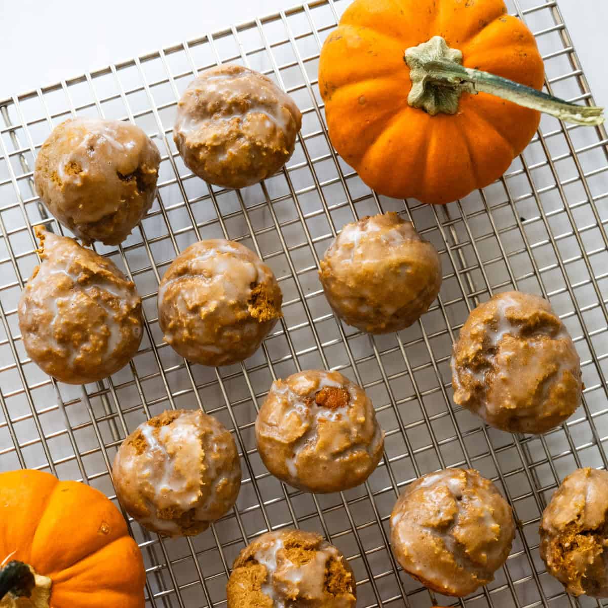 glazed pumpkin donut holes cooling on a wire rack against a white counter with two miniature pumpkins on the rack as well.