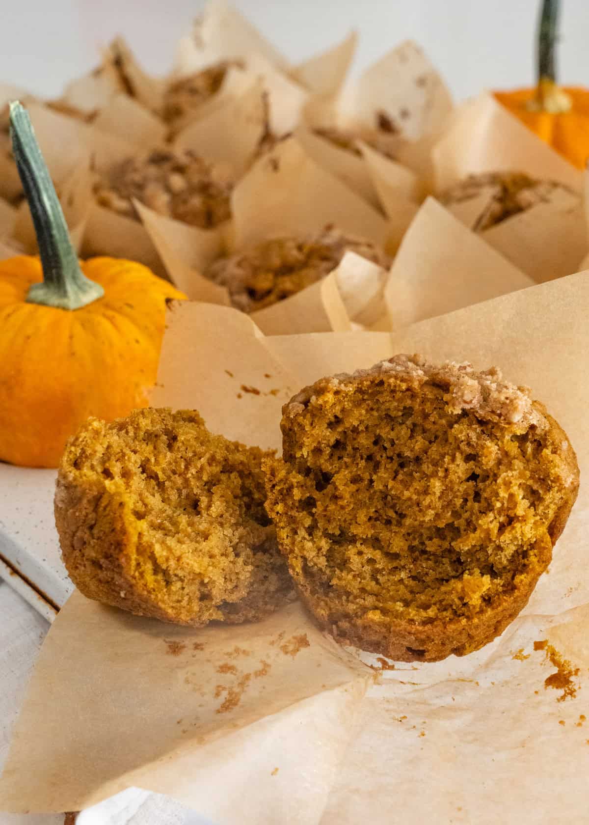 A pumpkin muffin opened up, exposing the fluffy middle of the pumpkin muffin.